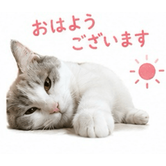 千明家