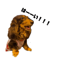 waaaachi