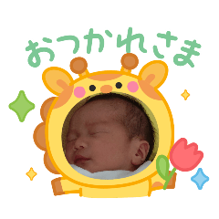 ken_20260607205034
