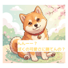 shibakeeen.