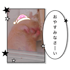 hamuhamu_20260607213434