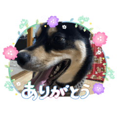 YUTO_20260607214418