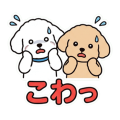 mie_20260607221141