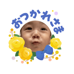 YuzuPAPA_20260607222624