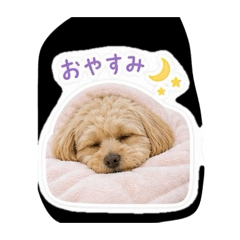 unicong_20260607222611