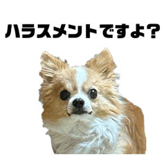 socchan_20260607230840