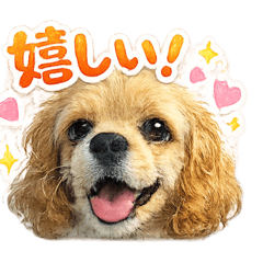 Miyuu_20260608001435