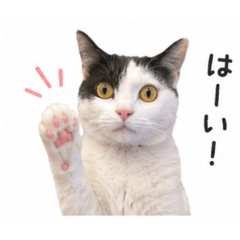 kazumi_20260608080046