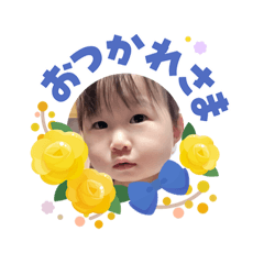 R_20260608093241