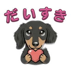 hisa_20260608110903