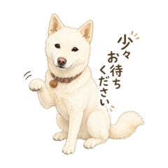 shinoda shiro