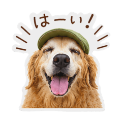 KIYOCHI_20260608123837