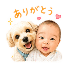 hika.h_20260608134036