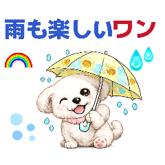 purinpapa_20260608134358
