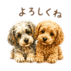 Mari_20260608151219