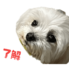 mumu_20260608143347