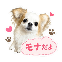 MONA_20260608144458