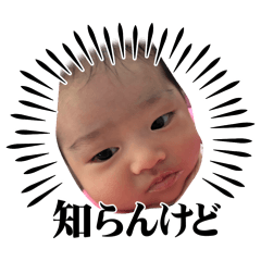 miho_20260608150200