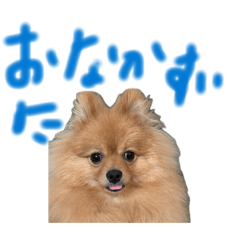 ichi_20260608152809