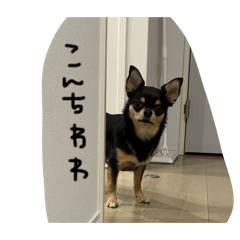 ngmn_20260608154440
