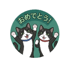 aya_20260608160143