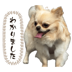 amuma_2026060816330
