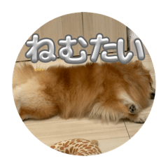 Haruto_20260608164204