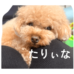 yui_20260608171349