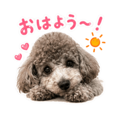 chill_20260608180412