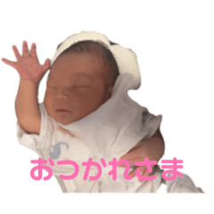 tako_20260608181027