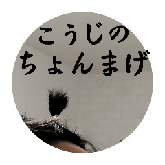 koto_20260608185152