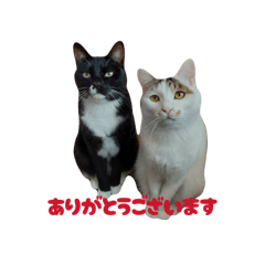 hanaKo_20260608184911