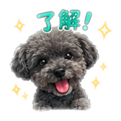 Rinon_20260608190728