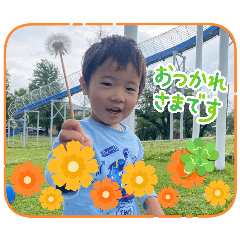 hisa_20260608194325