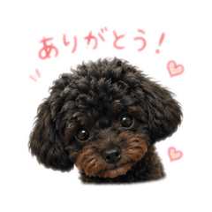 Tia_20260608201925