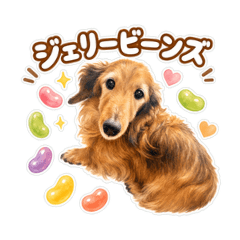 Bori-Jiro_20260608212746