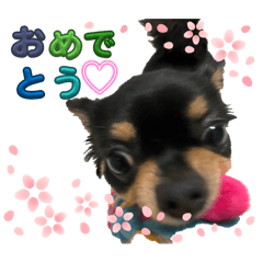Yoshida_20260608214307