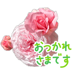 mitu_20260608215734