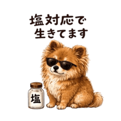 charun_20260607101916