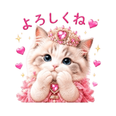 Oteage Princess Cat
