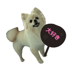 konotarou_20260607102800