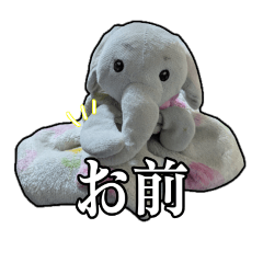 Ruru_20260607111441