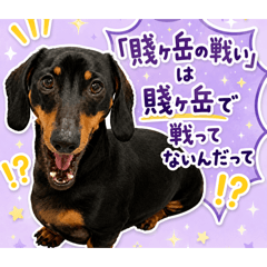 Nichibun Dachshund Research Lab
