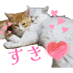 Nyaaaaa._20260607114629