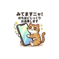 SO  CUTE_20260607141904