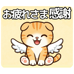 Healing Winged Scottish Fold 40