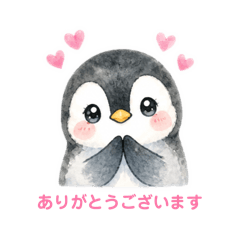 shoko_20260607155018