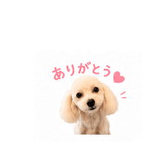 yunnnnntm_20260607164552
