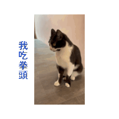 Lily C._20260617221310