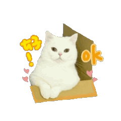 林萱萱咪咪貓貓❤️